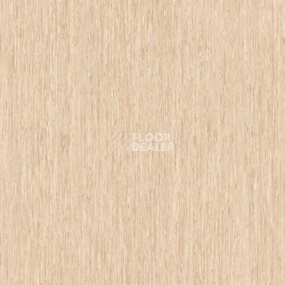Линолеум Tarkett iq Optima Light Gold Beige 0247 фото 1 | FLOORDEALER